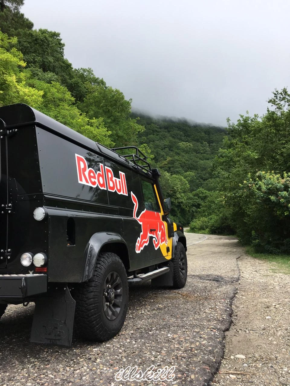 Land Rover Defender с красно-жёлтой графикой, снятый сзади в три четверти на фоне леса.
